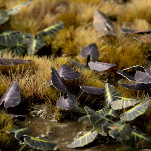 Gamers Grass Black Magic Taro Laser Plants