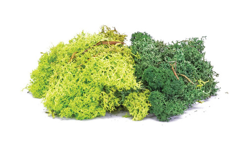 Hornby Lichen Green Mix 35g