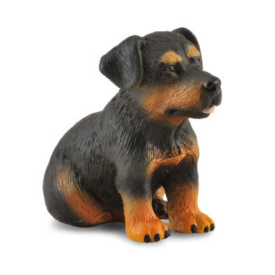 CollectA Rottweiler Puppy