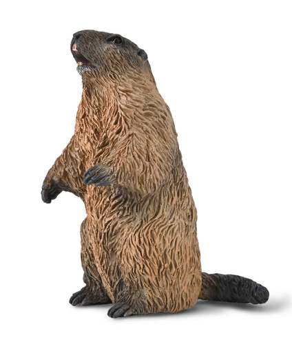 CollectA Marmot