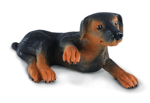 CollectA Doberman Pinscher Puppy (S)
