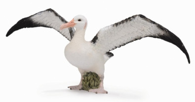 CollectA Wandering Albatross (L)