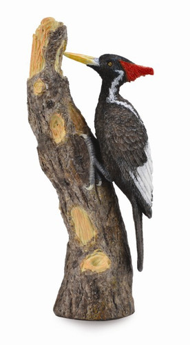 CollectA Ivory-Billed Woodpecker (L)