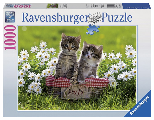 Ravensburger Picnic In The Meadow 1000pc