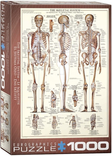 Eurographics The Skeletal System 1000pc Puzzle