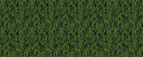 Heki Compact Foliage Dark Green