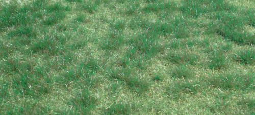 Heki Wild Grass Moorland Green