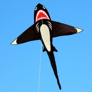 Windspeed Kites Shark! Kite