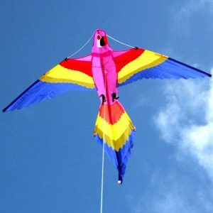 Windspeed Kites Lorikeet Kite