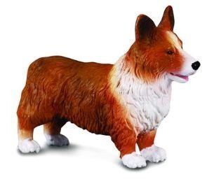 CollectA Welsh Corgi