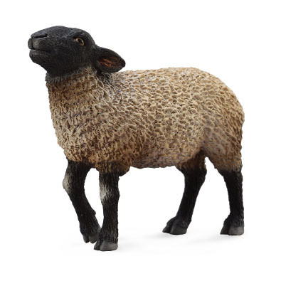CollectA Suffolk Sheep