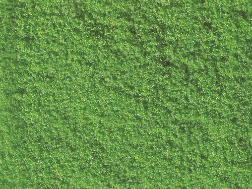 Noch Flock Light Green 20g