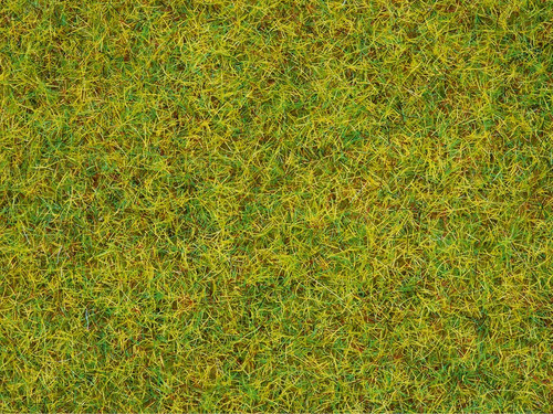 Noch Scatter Grass Summer Meadow