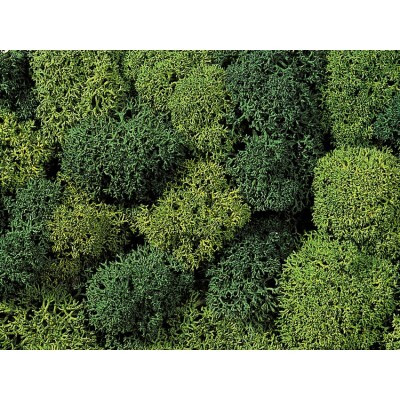 Noch Lichen Green Mix 35g