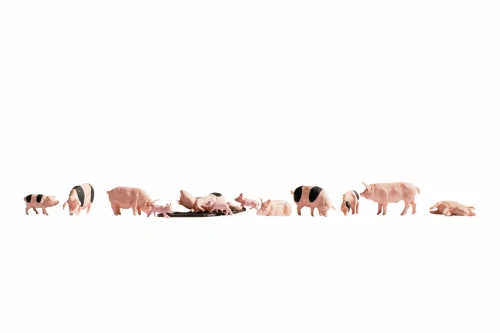 Noch N Model Figures - Pigs