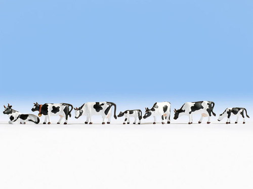 Noch N Cows, Black & White (9)
