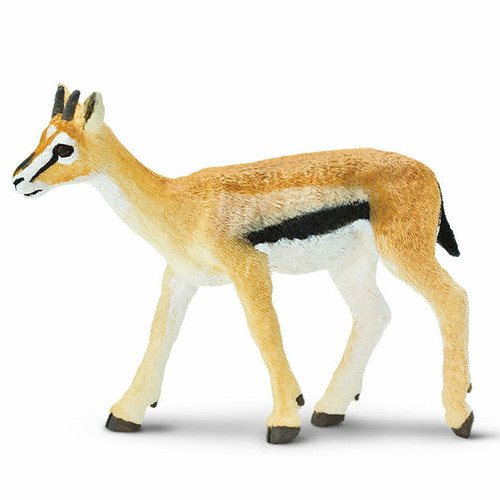 Safari Ltd Thomsons Gazelle