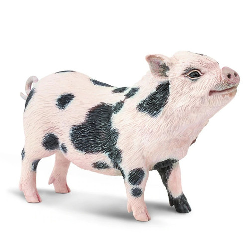 Safari Ltd Pot-Bellied Pig