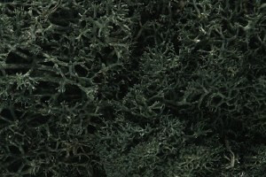 Woodland Scenics Lichen Dark Green Bag
