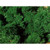 Heki Lichen Dark Green 30g