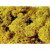 Heki Lichen Yellow 30g