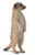 CollectA Meerkat
