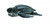 CollectA Leatherback Sea Turtle