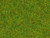 Noch Scatter Grass Spring Meadow