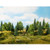 Noch Mixed Forest 14-8cm 6pcs