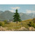 Noch Nordic Fir Tree 12cm