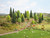 Noch Mixed Forest 5-14cm 10pcs