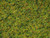 Noch Master Grass Blend Cow Pasture