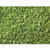 Noch Leaves Light Green 50g