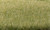 Woodland Scenics Static Grass Light Green 4mm