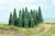 Heki Silver Pine Trees 5-9cm (20)