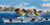 Trumpeter 1:200 USS Iowa Battleship BB-61 Plastic Model Kit