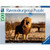 Ravensburger - Lion: King of the Animals 1500pc Puzzle