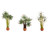 Noch HO Palms