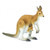 Safari Ltd Kangaroo w/Joey
