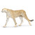 Safari Ltd Cheetah