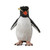 CollectA Rockhopper Penguin