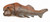 CollectA Dunkleosteus with Movable Jaw