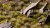 Gamers Grass Dry Green 6mm Grass Tufts