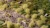 Gamers Grass Light Green XL 12mm Grass Tufts