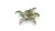 Gamers Grass Bracken Laser Plants