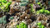 Gamers Grass Toxic Waste Set