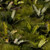 Gamers Grass Banana Tree Laser Plants