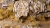 Gamers Grass Spikey Beige 12mm Grass Tufts