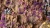 Gamers Grass Tiny Alien Purple 2mm Grass Tufts