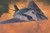 Hasegawa 1:72 F-117A Nighthawk E1